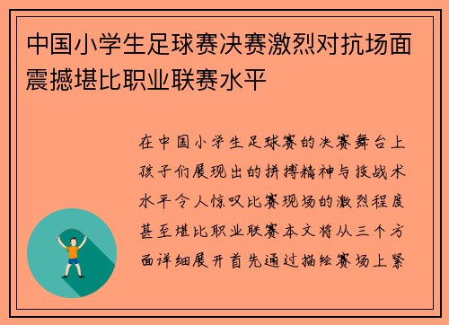 中国小学生足球赛决赛激烈对抗场面震撼堪比职业联赛水平